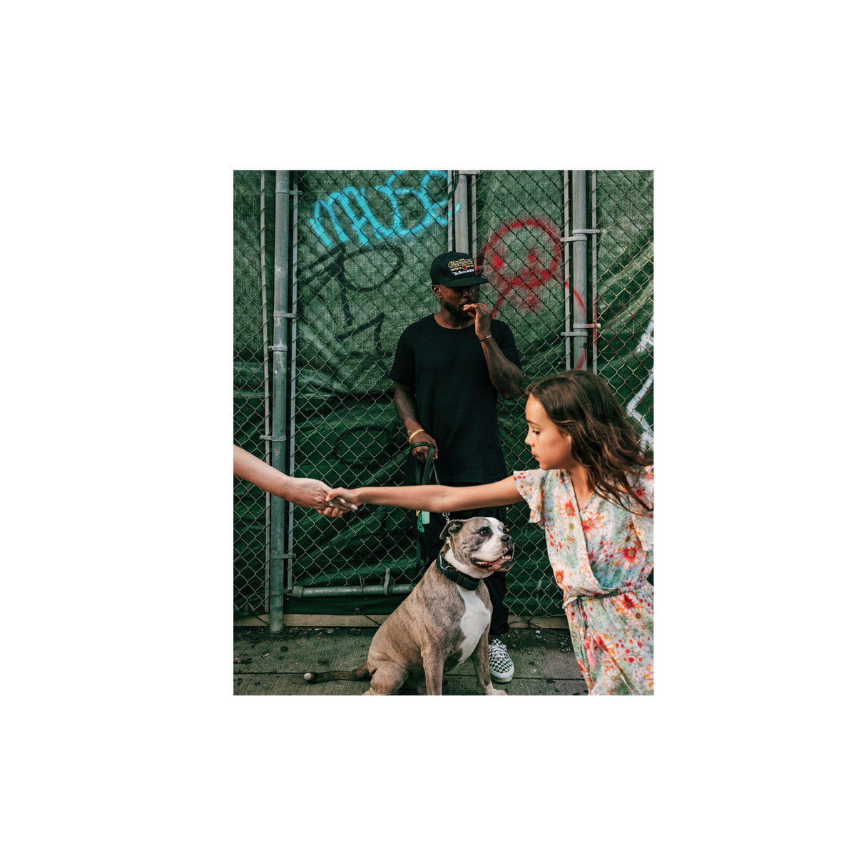 Dog 30x20" Print